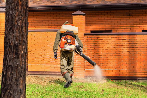 Trusted Bed Bug Control service in Dunes City, OR - Nex Pest Control